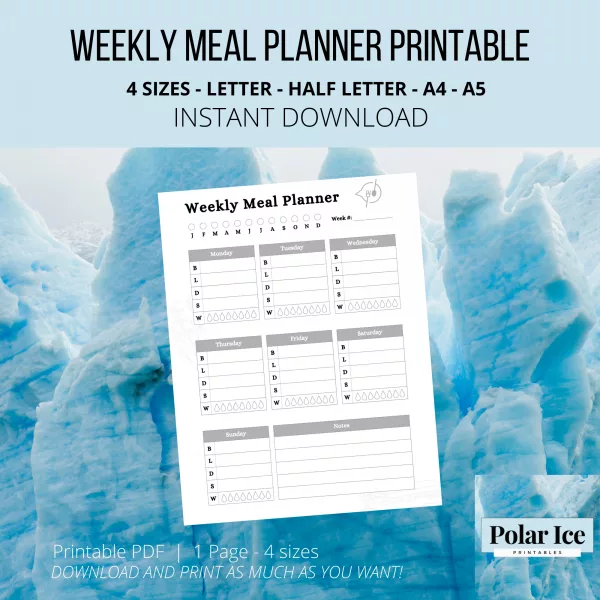 ❄️ Ultimate Yearly Goal-Setting Planner – 95 Pages of Productivity, Planning, and Pretending You’ve Got It All Together (Blue Edition) - Image 3